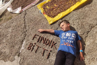 FINDIK BİTTİ