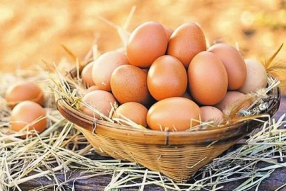 KÖY YUMURTASINA PARA DAYANMIYOR