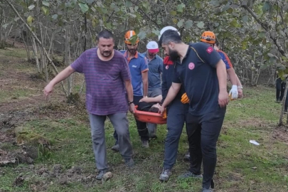 FINDIK TOPLARKEN DİKKAT EDELİM
