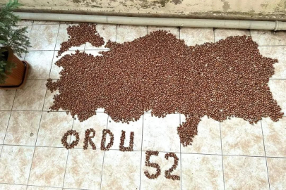 FINDIKTAN YAPILAN TÜRKİYE ÇOK BEĞENİLDİ