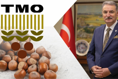 GÜLDAL: "60'A YAKIN FINDIK ALIM NOKTAMIZ HAZIR"