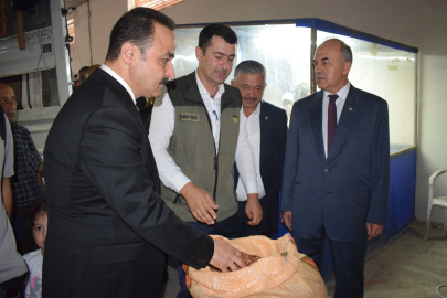 TMO ORDU’DA FINDIK ALIMINA BAŞLADI