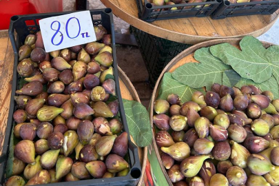İNCİR FİYATI 80 LİRAYA DÜŞTÜ