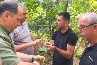 YERİNDE İNCELEMELER YAPILDI