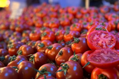 MARKETLERDE DOMATES BOLLUĞU VAR