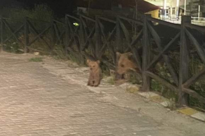 ORDU’YA UYARI: “YÜKSEK SES ÇIKARIN”