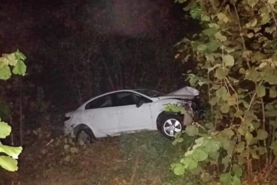 OTOMOBİL FINDIK BAHÇESİNE UÇTU