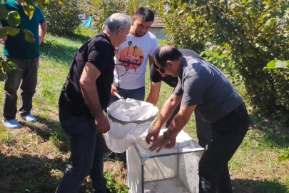 BAHÇELERDEN KOKARCA NUMUNESİ TOPLANDI