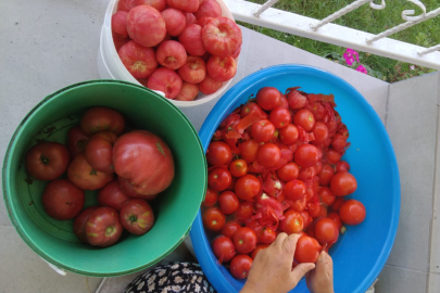 MENEMEN ZAMANI GELDİ