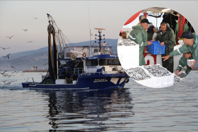 FATSALI BALIKÇILAR BOŞ DÖNDÜ, MARMARA'DA HAMSİ ÇIKTI