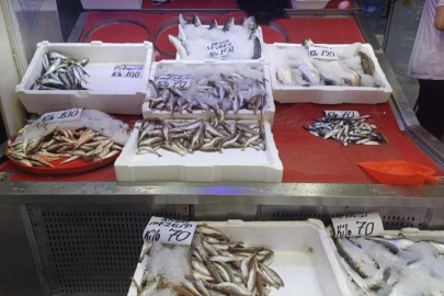 ORDU’DA BALIK TEZGAHLARI ŞENLENDİ