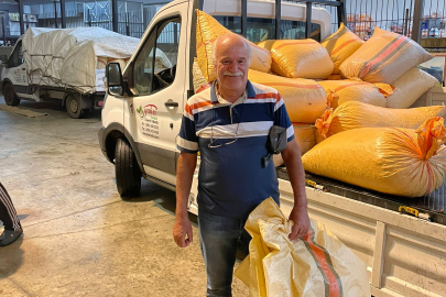 FATSA'DA RANDIMAN REKORU