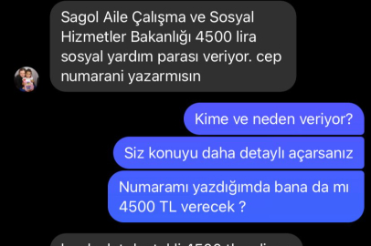 SOSYAL MEDYA DOLANDIRICILARI SERT KAYAYA ÇARPTI