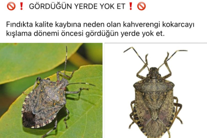 “GÖRDÜĞÜN YERDE YOK ET”