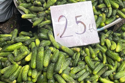 KORNİŞON ZAMANI GELDİ