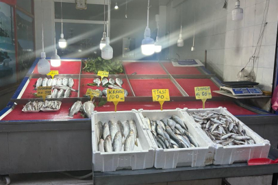 TEZGAHLARDA HAMSİ AKŞAM OLMADAN TÜKENİYOR