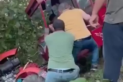 BAHÇEYE GİREN PATPATI FINDIK DALLARI DURDURDU