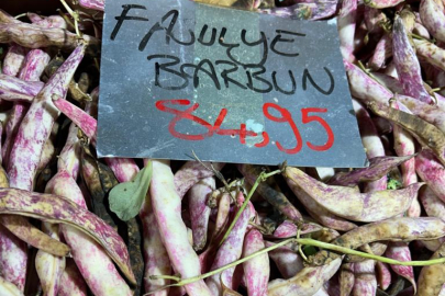 BARBUN FASÜLYE FİYATI DUDAK UÇUKLATIYOR