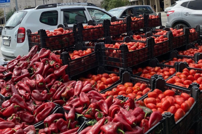 FATSA'DA SALÇA VE KONSERVE ZAMANI