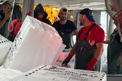 BEREKETLİ BİR SEZON GEÇİYOR