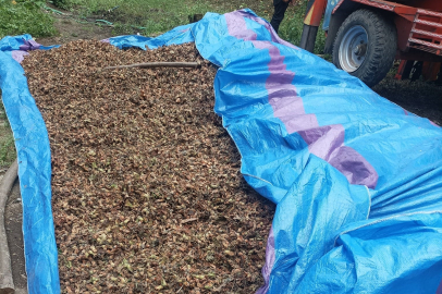 KUMRU’DA PES DEDİRTEN OLAY: “İYİLİKTEN MARAZ DOĞDU”