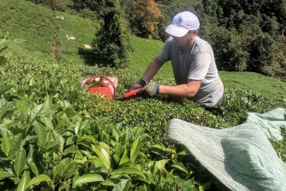 KURAKLIK ÇAYIDA VURDU