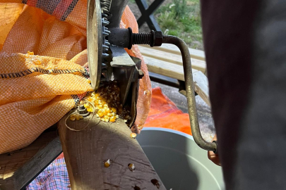 KARADENİZLİ DE YOK YOK!