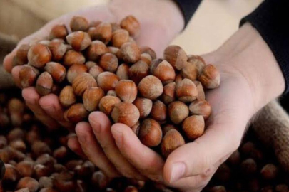 FINDIK 90 LİRAYI GÖRDÜ