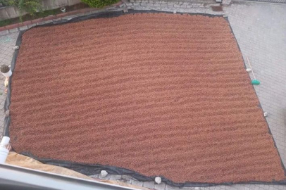 FINDIK ŞEHİR MERKEZİNE İNDİ