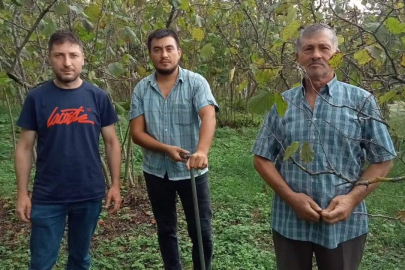 YUKARIARDIÇ'TA TOPRAK BİLGİLENDİRMESİ