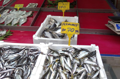 BALIK SEVERLERİN BU SEZON YÜZÜ GÜLÜYOR