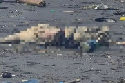 FATSA’DA KAYBOLDU, CESEDİ GÜRCİSTAN’DA BULUNDU