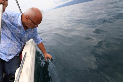 ORDU'DA PETROL YÜZEYE ÇIKTI