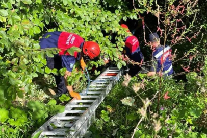 MOTOSİKLET UÇURUMDAN YUVARLANDI: 1 YARALI