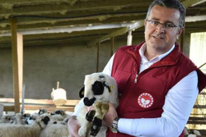 “DESTEKLEMELERDE REKOR ARTIŞ”