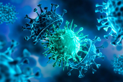 KORKULAN OLDU! YENİ VİRÜS TÜRKİYE’DE