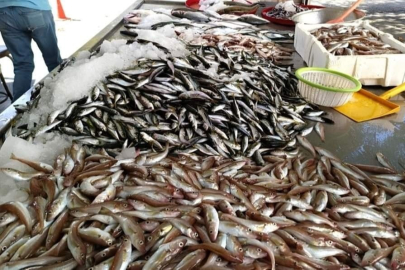 FİYAT ARTIŞLARI VATANDAŞI BALIĞA YÖNELTTİ