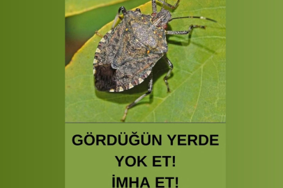 GÖRDÜĞÜN YERDE YOK ET!