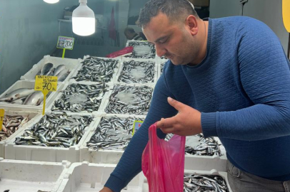 HAMSİ TEZGAHLARDA KAPIŞ KAPIŞ SATILIYOR