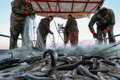 KÜRESEL ISINMA BALIK AVCILIĞINI OLUMSUZ ETKİLİYOR