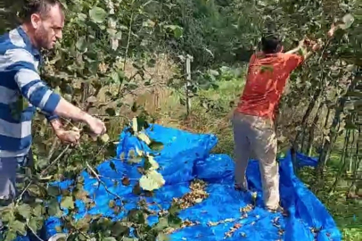 BAĞIŞ YAPILAN BAHÇEYİ İMAMLAR TOPLADI