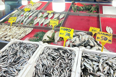 BALIK TEZGAHLARI EVLERE ŞENLİK