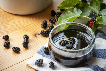 BU MEVSİMDE BOL BOL DUT PEKMEZİ YEYİN