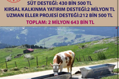 ORDU’DA 2 MİLYON 643 BİN TL DESTEK ÖDEMESİ YAPILACAK