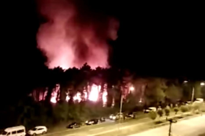 ÜNYE ÇINARSUYU’NDA YANGIN