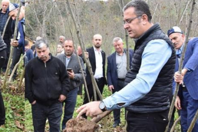 FINDIK ÜRETİCİLERİNE TOPRAK ANALİZİ ÇAĞRISI