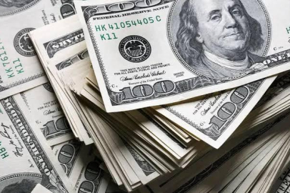 YILSONU DOLAR TAKMİNİ 30 TL