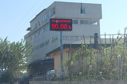 FINDIK 90 LİRAYA DÜŞTÜ