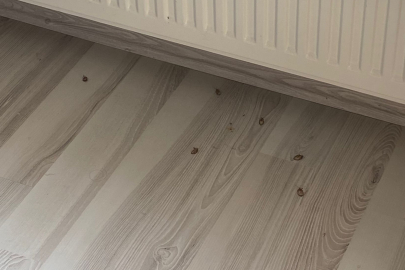 SİTE SAKİNLERİ İLAÇLAMA BEKLİYOR