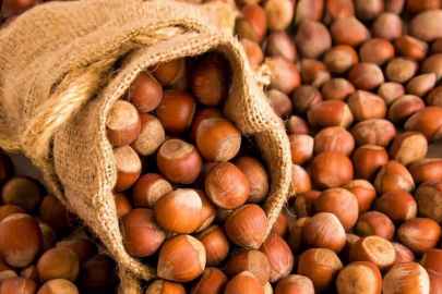 ÜRETİCİ FİYATIN ÇIKMASINI BEKLİYOR